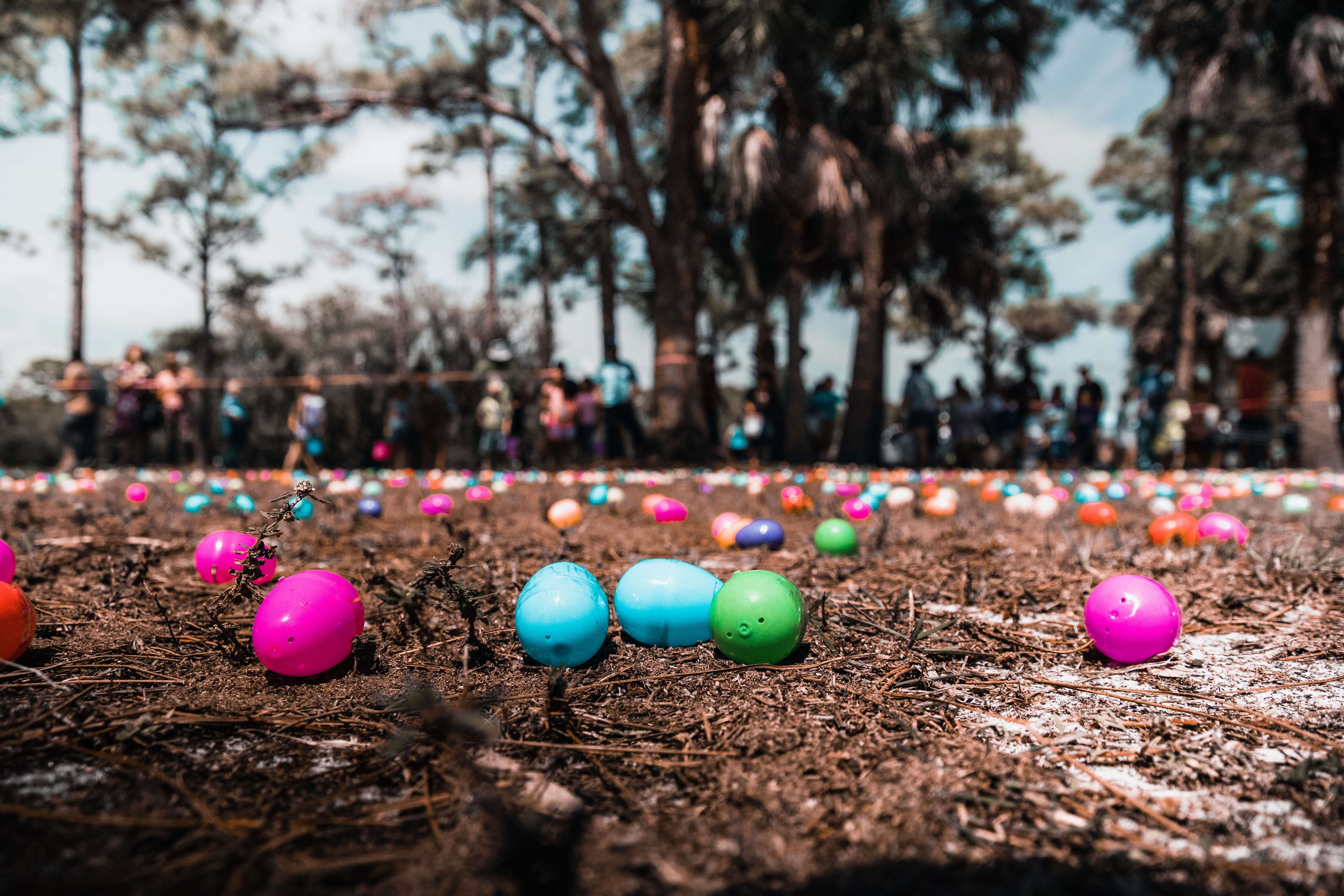 kids easter camping kids easter camping